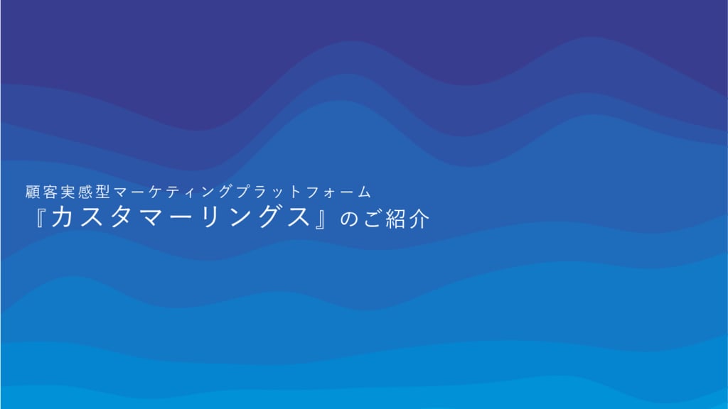 資料: カスタマーリングス_概要資料