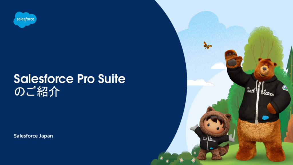 資料: Salesforce Pro Suite のご紹介料