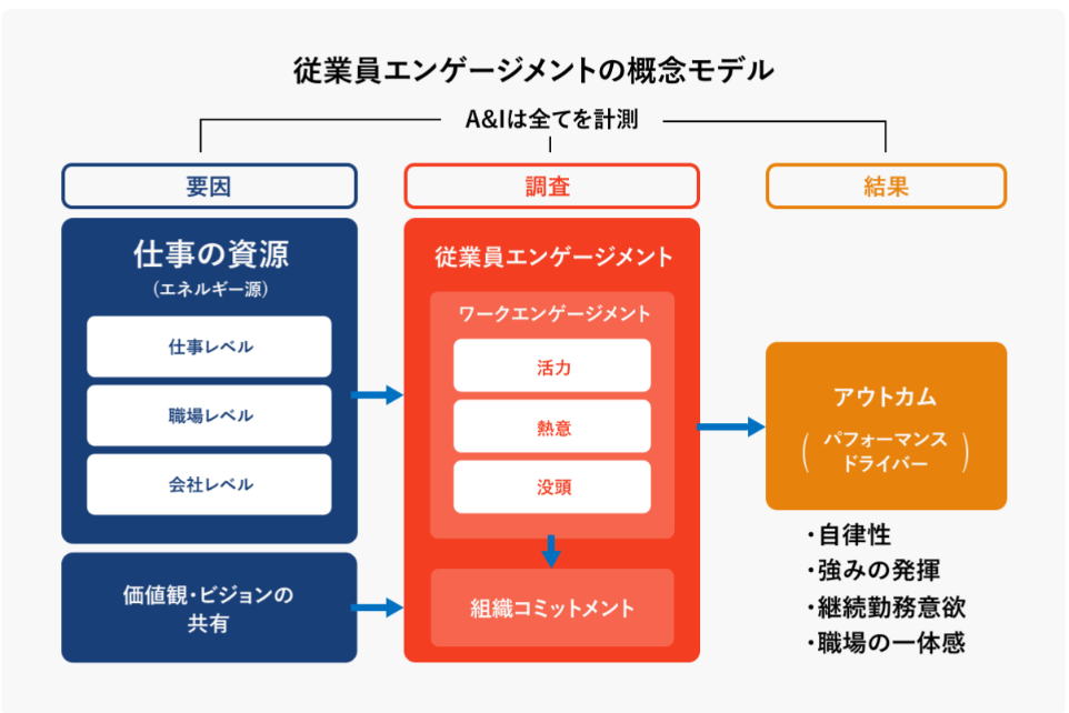 調査モデル