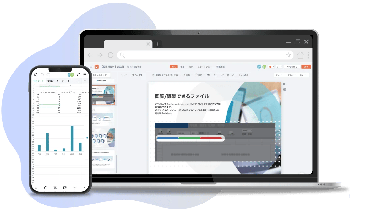 WPS Cloud Pro