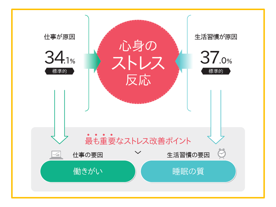 集団分析レポート