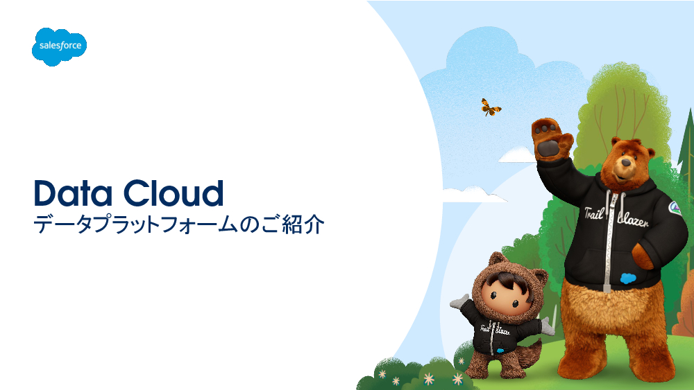 資料: Data Cloudの概要と事例のご紹介