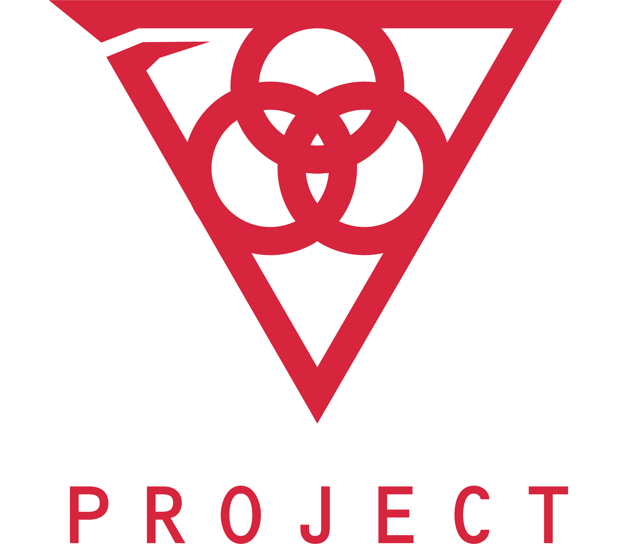 ＰＲＯＪＥＣＴ　ＧＲＯＵＰ株式会社