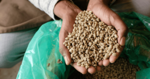 購買管理とは – 5原則と業務内容、システムの機能を紹介