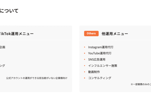 アンドゼンのTikTok運用代行のUI画面